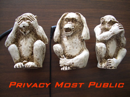 Privacy Most Public